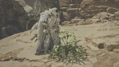 《解决怪寿猎人荒野物品包满警告的方法》——怪寿猎人荒野物品管理技巧