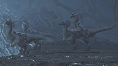 怪物猎人荒野中守护者秘密羽毛获取地点指南