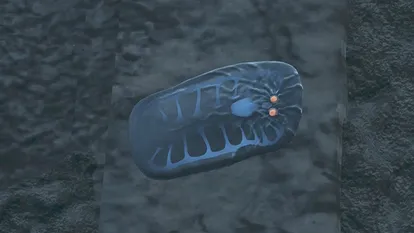 怪物猎人荒野中峡虫位置指南——峡虫很佳捕获地点解析