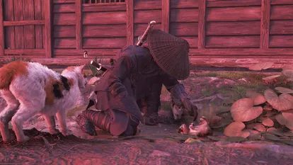 《刺客信条：暗影》中猫岛位置指南及详细攻略