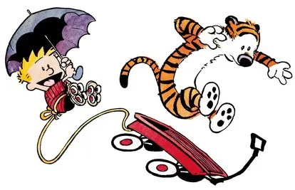 卡尔文和hobbes完整收藏套装半价促销，最佳儿童漫画书收藏选择