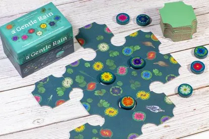 《温柔的细雨》游戏实拍图片，展示游戏牌面