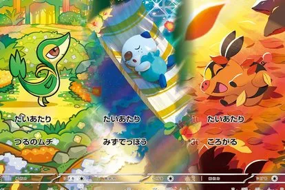 宝可梦TCG黑啬猛禽与白啬闪耀系列最受喜爱的隐藏稀有卡片