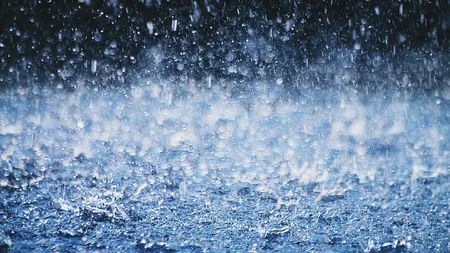 Big Ant Studios游戏反盗版措施截图