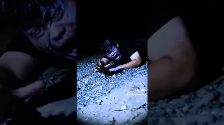 Grimace奶昔潮流图片