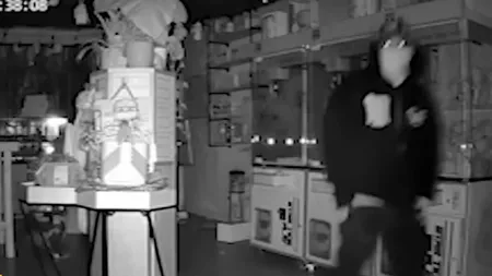 深夜抢劫导致数千美元Labubu洋娃娃，珍藏爱好者应注意安全