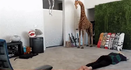 Twitch主播xQc在版权争议中表演“蚯蚓舞”引热议【Twitch版权争议】