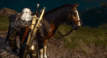 《巫师3：终极指南，让你实现真正的马匹互动与驯养体验》