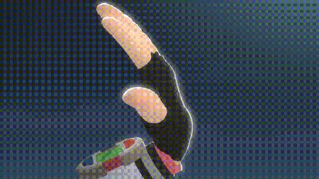 动画中的比多龟