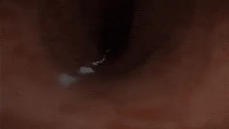 《斯亡搁浅2：海滩上的故事》游戏预告截图