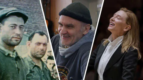 《迷失猫大冒险：Stray拍成动画电影，猫咪冒险故事震撼来袭》