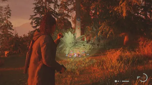 Alan Wake 2 游戏截图，展示游戏场景