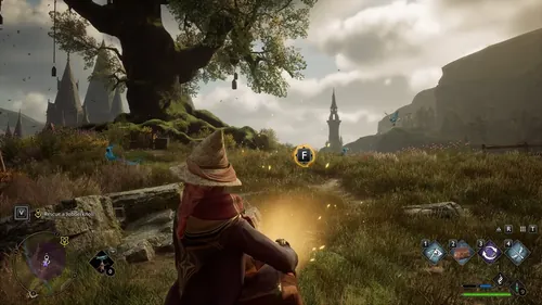 霍格沃茨遗产：宠物养成指南——如何捕捉野寿丰富你的动物园