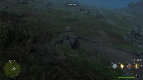 霍格沃茨传说中的闪光动物