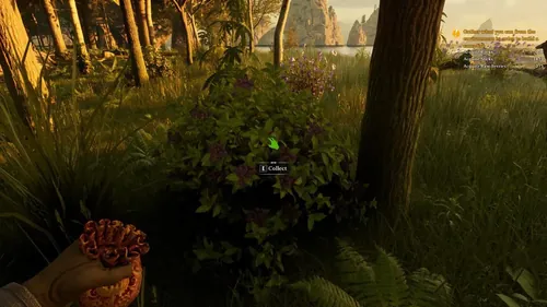 夜莺烹饪指南：学会做饭与管理饥饿的全面技巧