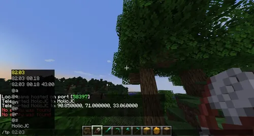 Minecraft游戏截图，角色站在平坦的地形上