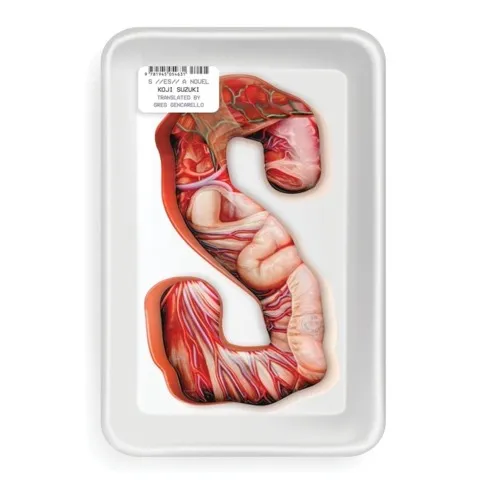 《环》系列小说封面