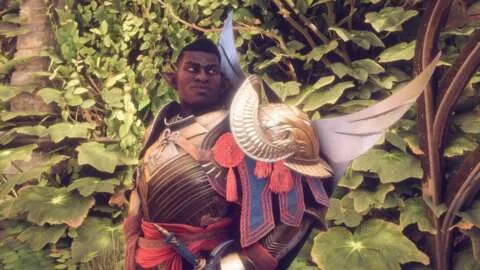 《龙腾：面纱守卫》 游戏封面截图