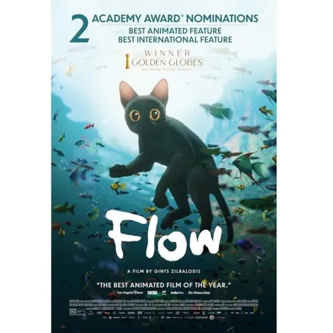 电影《Flow》海报