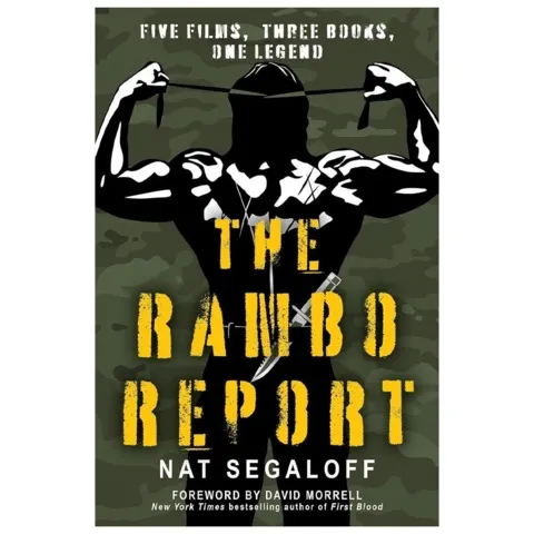 新兰博书籍深度解析动作英雄的文化影响，动作英雄文化影响研究