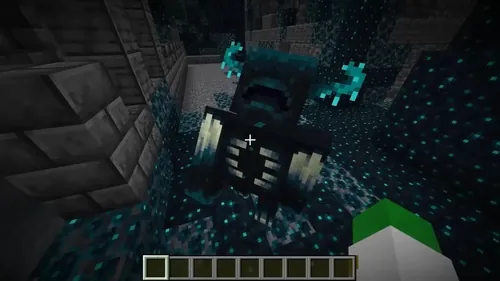 Minecraft守望者图片