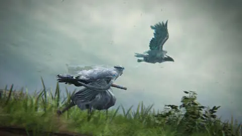 《艾尔登法环夜之统治开启辉煌新篇章》——深入剖析夜之统治在艾尔登法环中的精彩表现