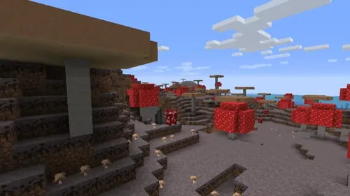 巨型蘑菇在蘑菇田生长