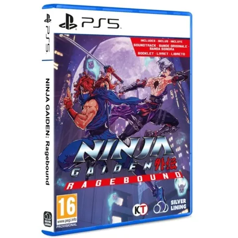 忍者龙剑传：怒火之魂游戏宣传图