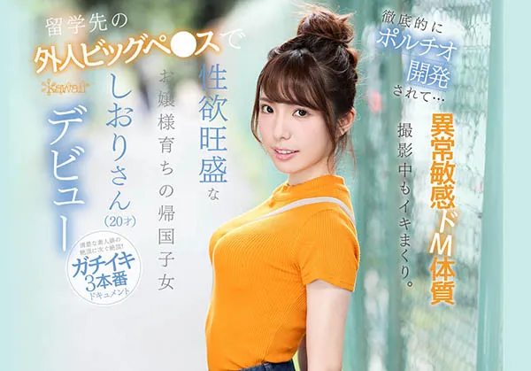 芦那しおり(芦那诗织)IPX-376作品资料及内容简介