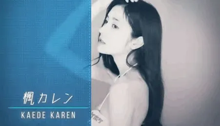 视频剧情画面示意