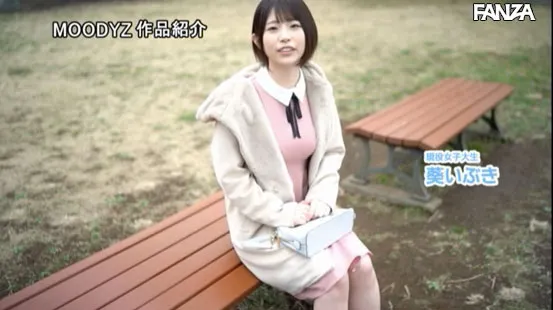 葵いぶき作品展示