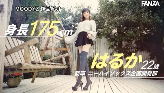 はるか(遥)多角度表现