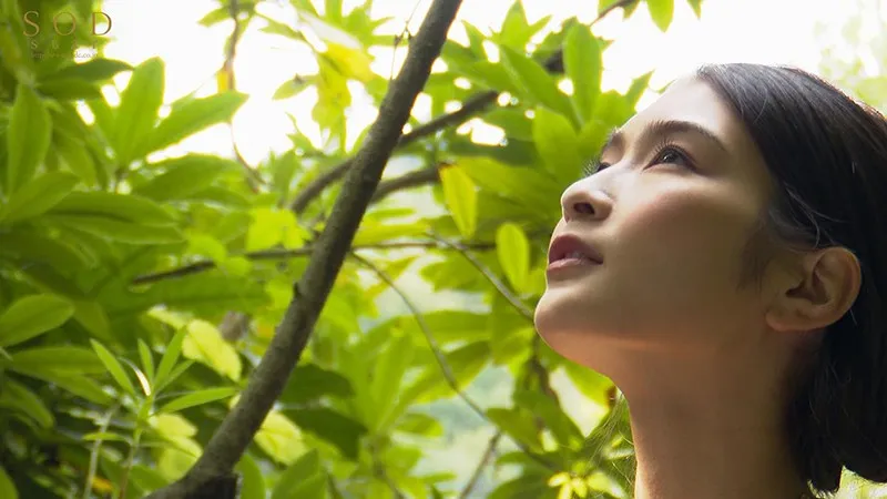 影片慢节奏情感表现