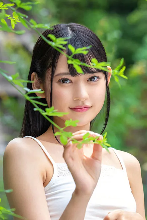 叶月桃写真图17