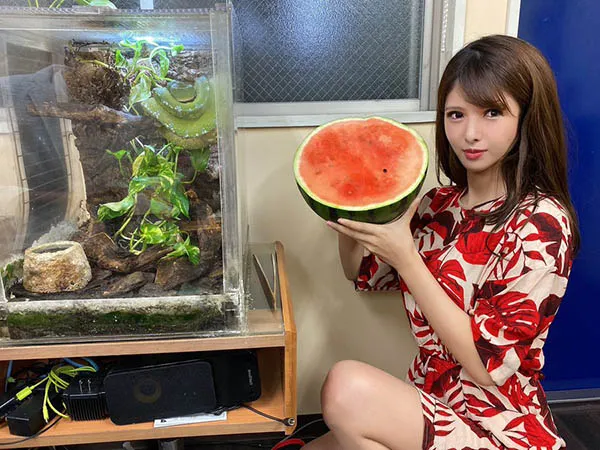 七沢みあ亲手烹饪