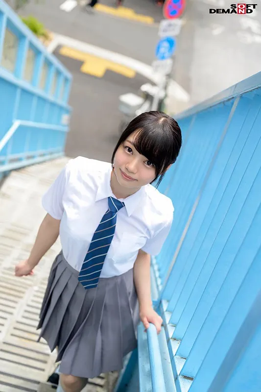 夏目蓝果多面发展