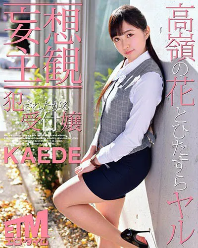 夕月枫影视作品封面