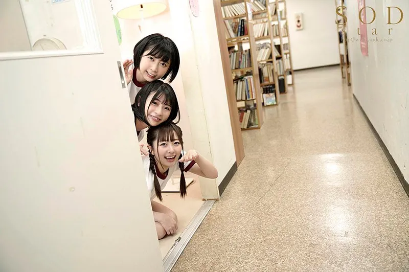 S1片商发行清单示意图