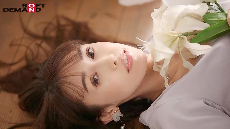 七星结女很新作品封面