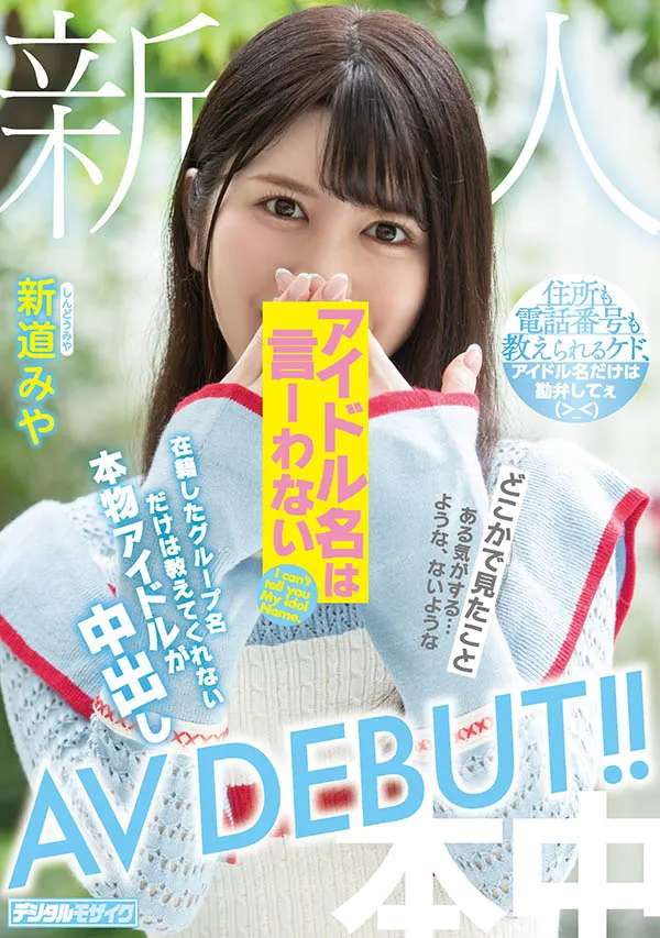 新道みや（Shindo-Miya）作品HMN-013详细资料与内容介绍-游戏花园