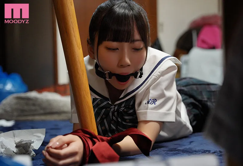 作品中的关键场景截图