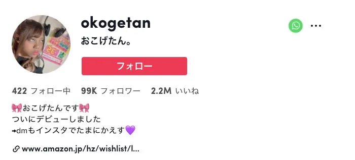 加藤萝丝社交媒体形象