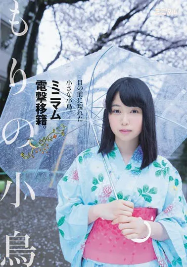 森野小鸟活动照片