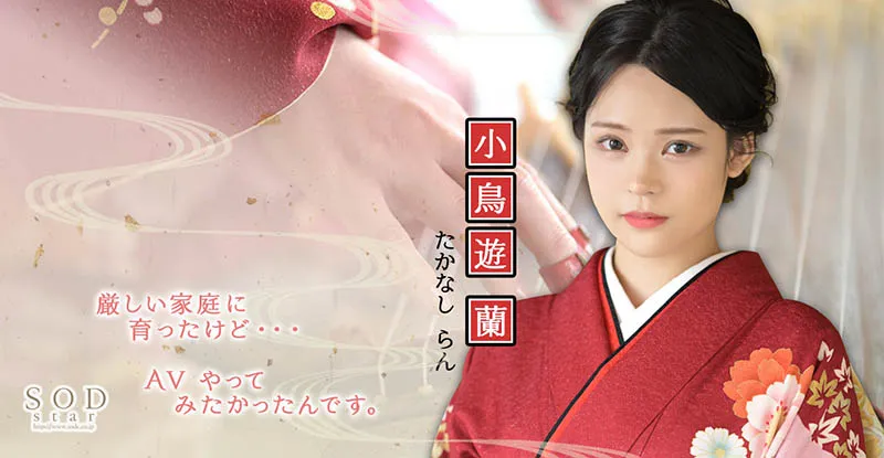 小鸟游兰(Takanashi-Ran)作品STARS-600详细介绍与资料预览-全面游戏