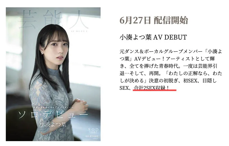 小凑よつ叶作品预览1