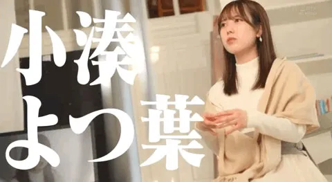 小凑四叶相关宣传图