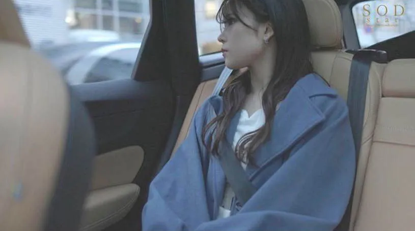 小鸟游兰与合作演员合作照片