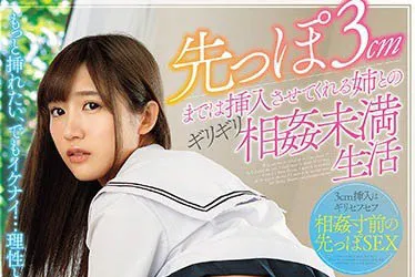 作品封面：先っぽ3cmまでは挿入させてくれる姉とのギリギリ相奸未満生活