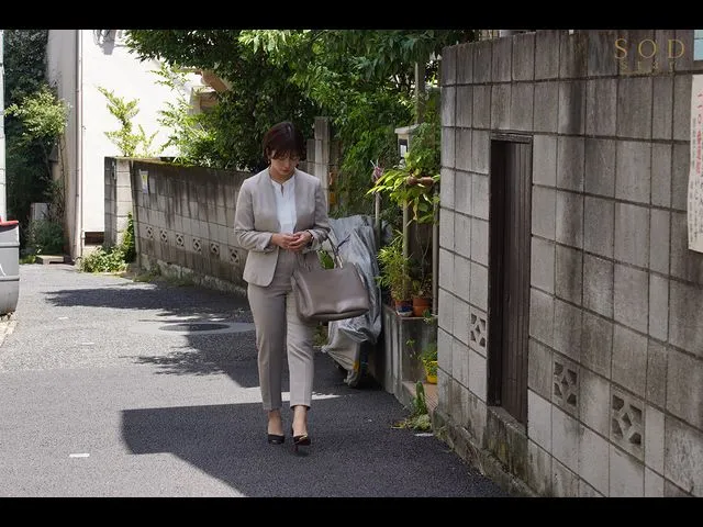 作品情景呈现图