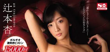 辻本杏作品封面2